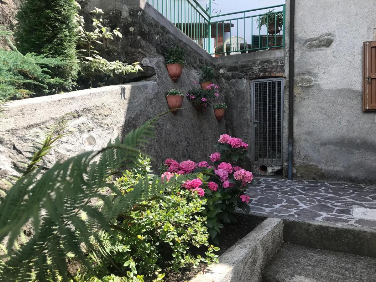 Hostal Casa Valeria Mammiano Exterior foto